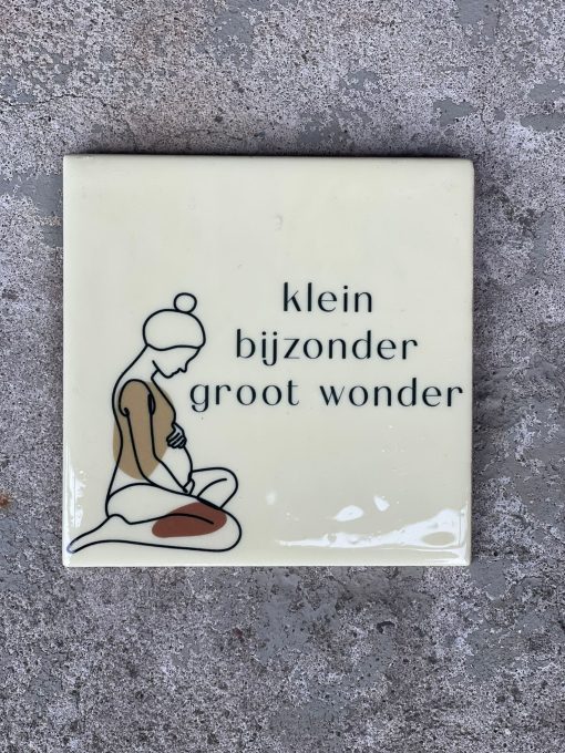 Tegeltje Klein bijzonder groot wonder