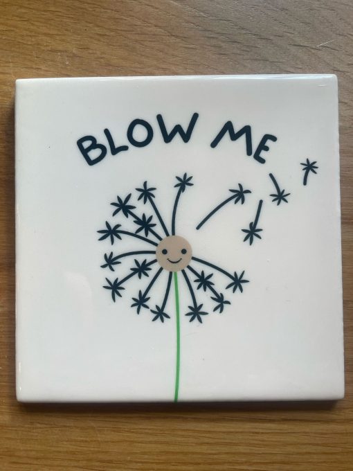 Tegeltje Blow me | Hippe Spreuktegel | Afscheid cadeau| Nieuwe woning cadeau | Housewarming cadeau |Verjaardagscadeau | Birthday |Verjaardag |brievenbuscadeau