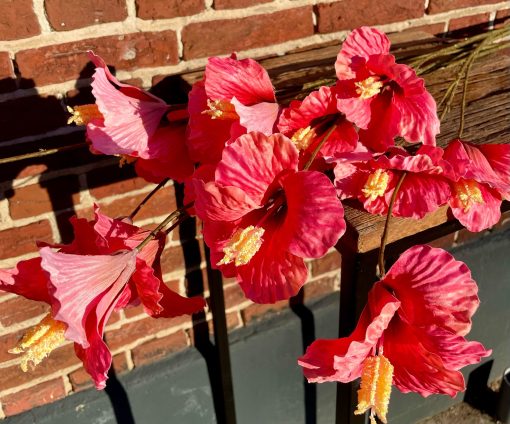 Kunstbloem hibiscus 85cm rood